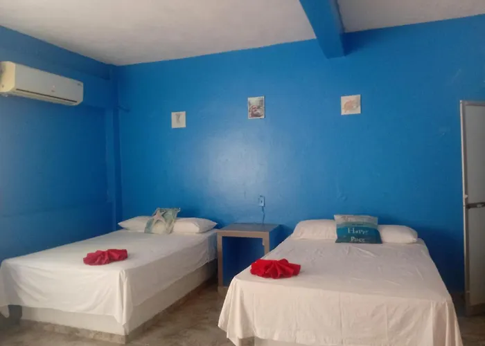 Zihua Malibu 3*